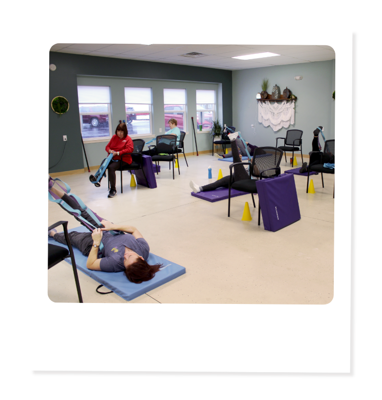 Ally Wellness Purpose, Mission and Vision